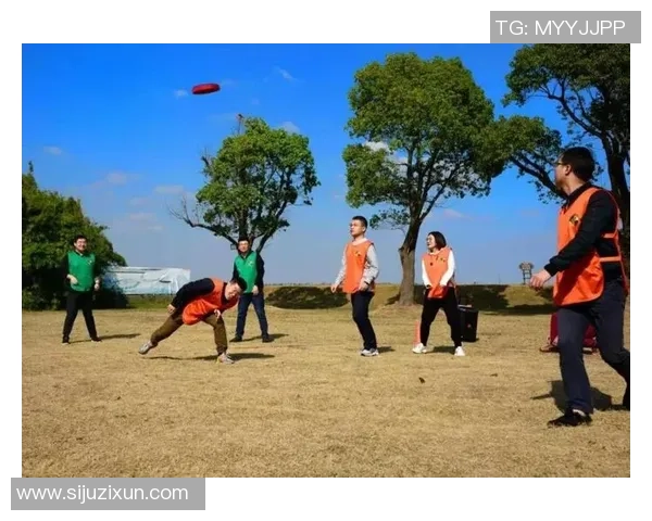 重庆飞盘队状态分析：聚焦团队表现与未来发展潜力